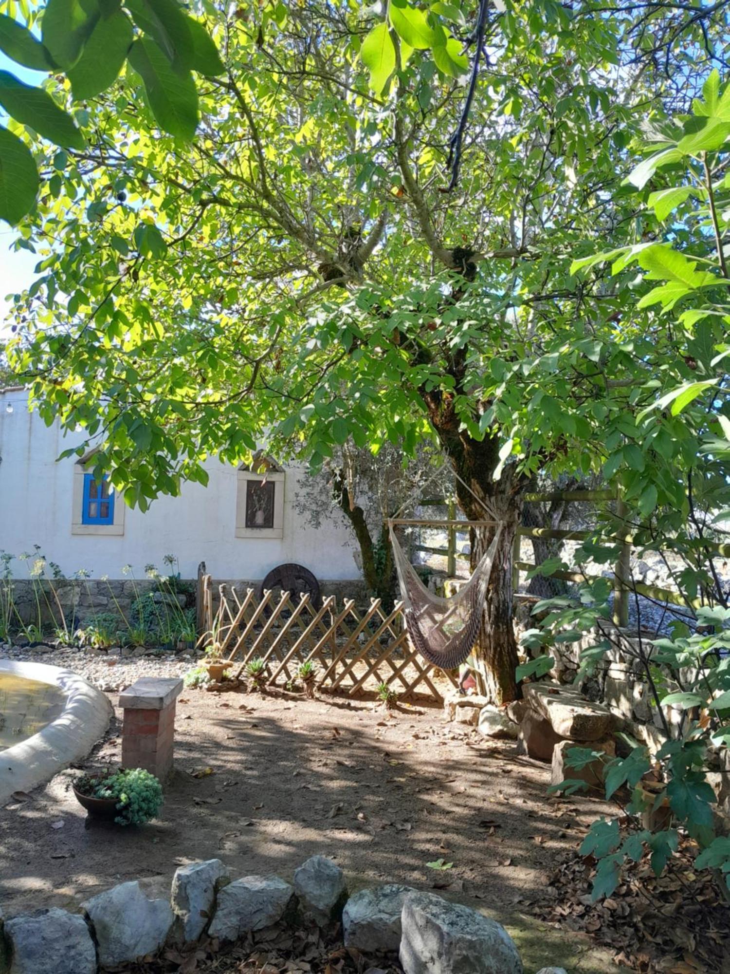 Refugio Das Artes Guesthouse Porto de Mós Eksteriør billede