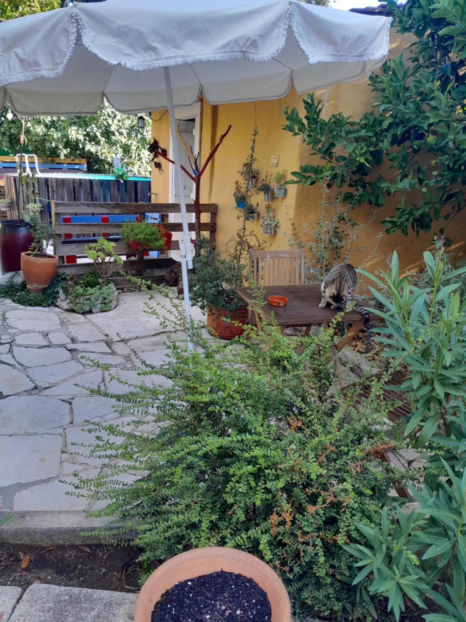 Refugio Das Artes Guesthouse Porto de Mós Eksteriør billede